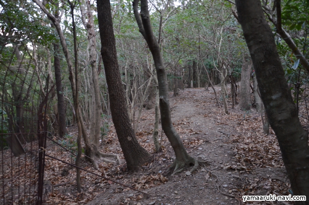 長崎市で一番高い山 八郎岳に登ってきました。 山歩きnavi