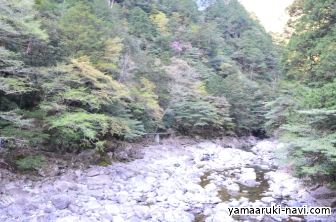 大杉谷　七ツ釜滝吊橋