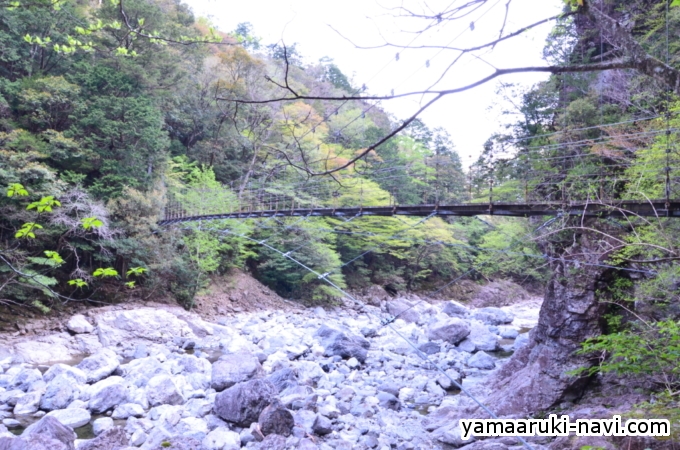 大杉谷　七ツ釜滝吊橋