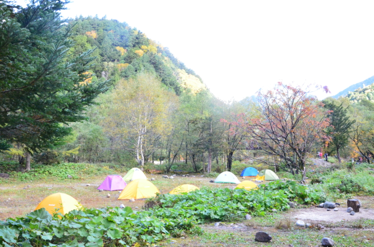 横尾山荘の山小屋情報