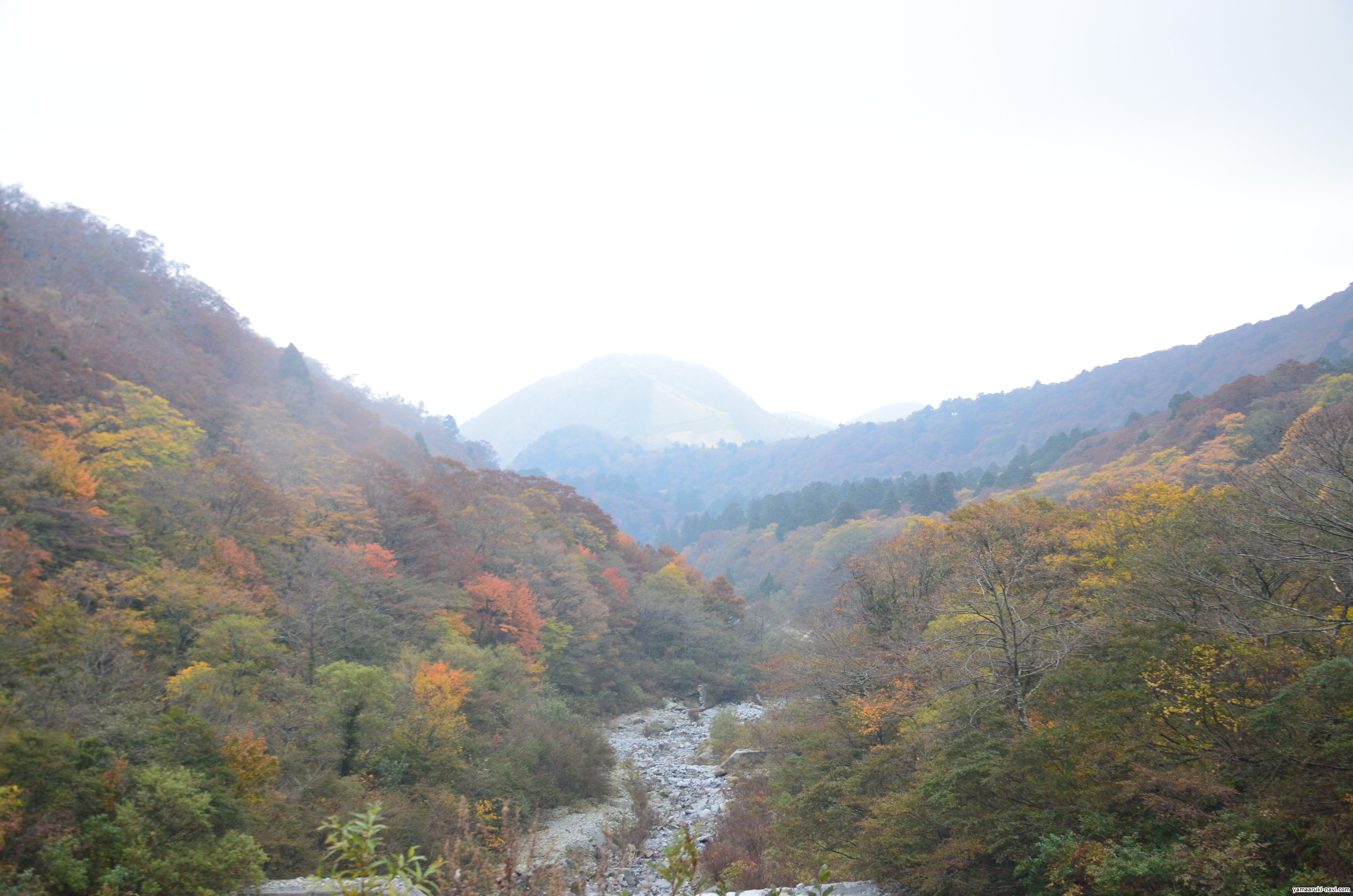 伯耆大山 紅葉を期待して中国地方最高峰の登山コース 大山頂上から大堰堤まで 山歩きnavi