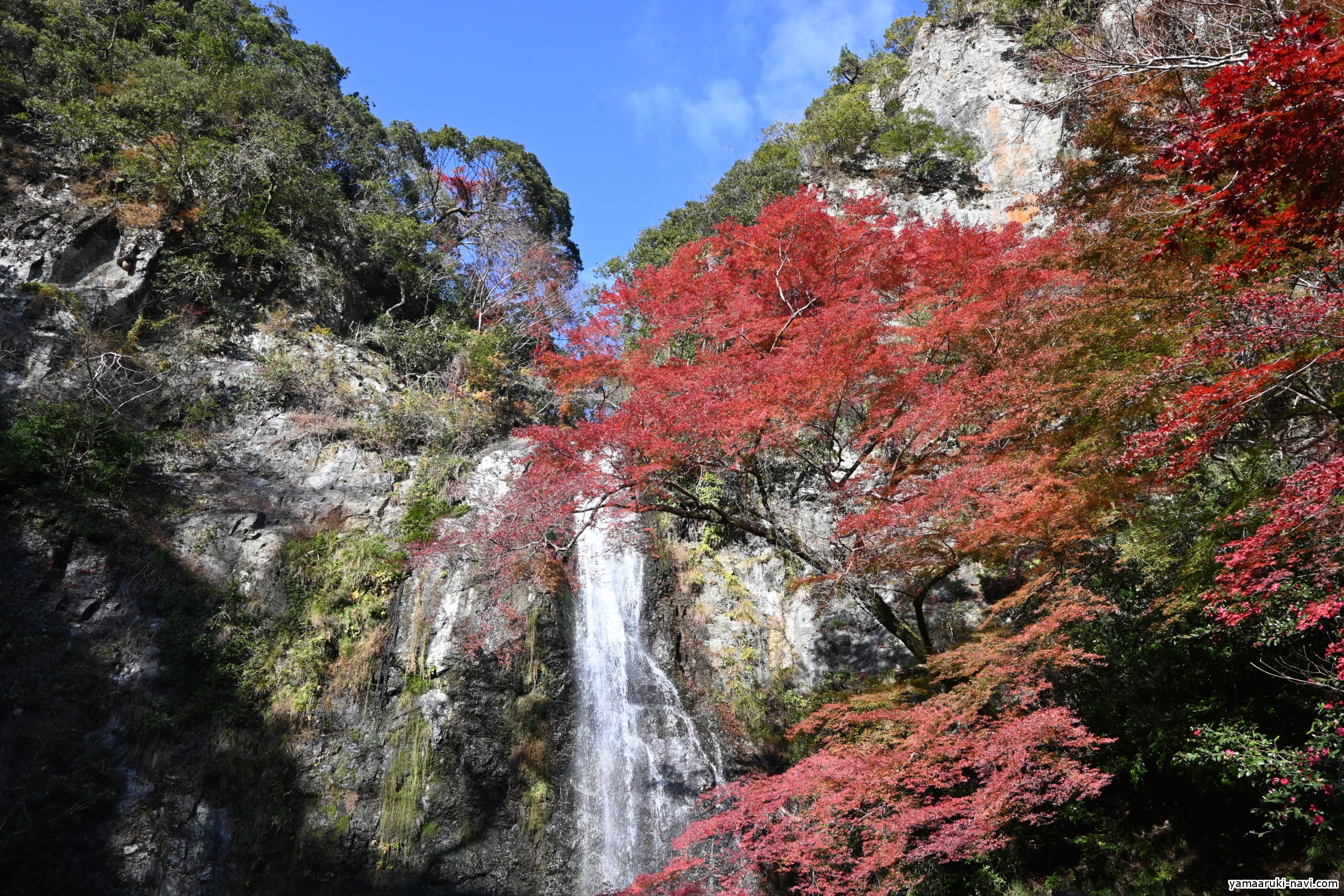 紅葉を見に箕面大滝から勝尾寺へ歩いて来ました 勝尾寺から箕面大滝へ 山歩きnavi