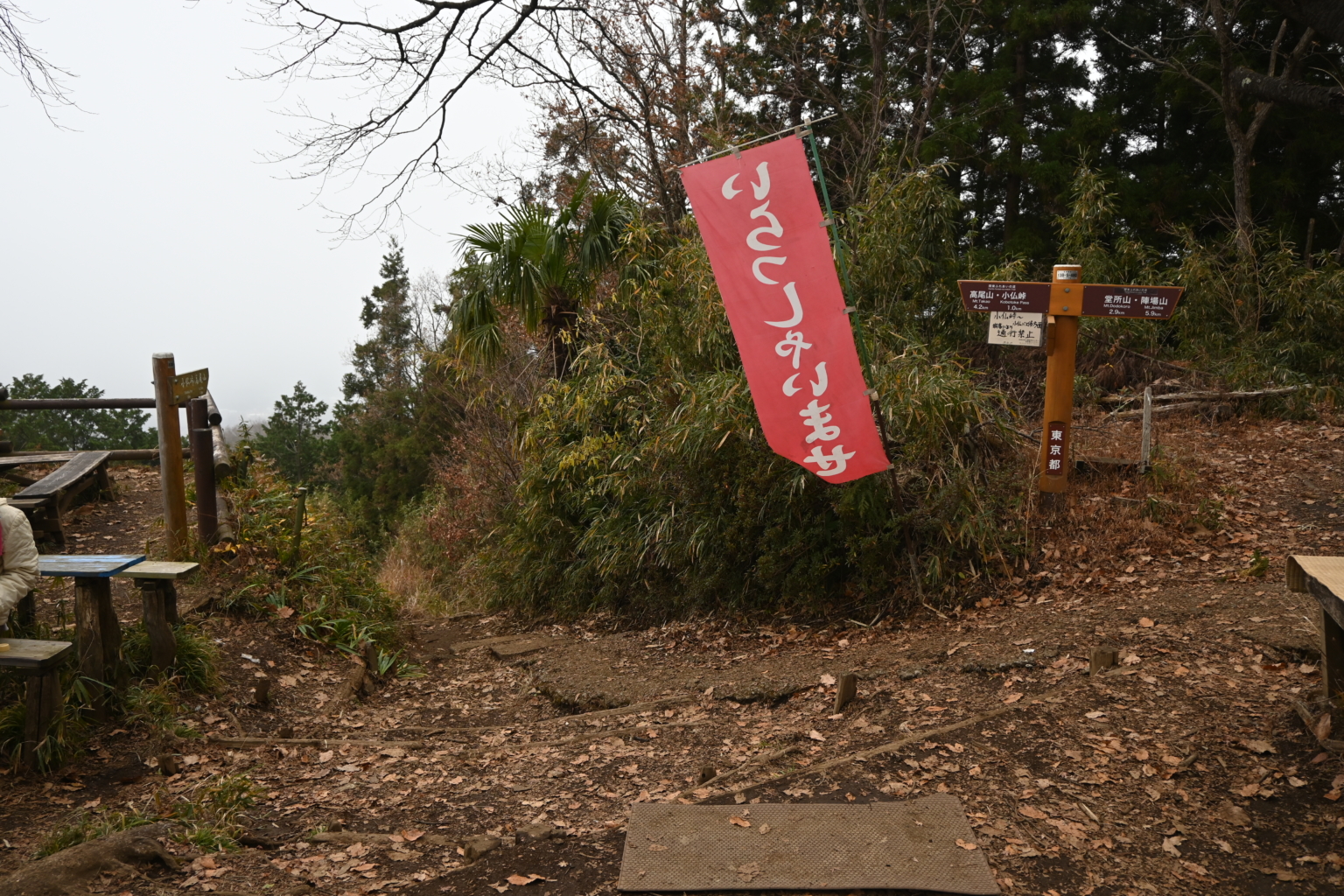 ダイヤモンド富士を楽しみに奥高尾縦走コースを歩く【景信山から一丁平へ】 山歩きnavi